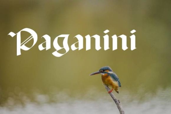 Paganini Font Review: A Bold Choice for Creative Projects